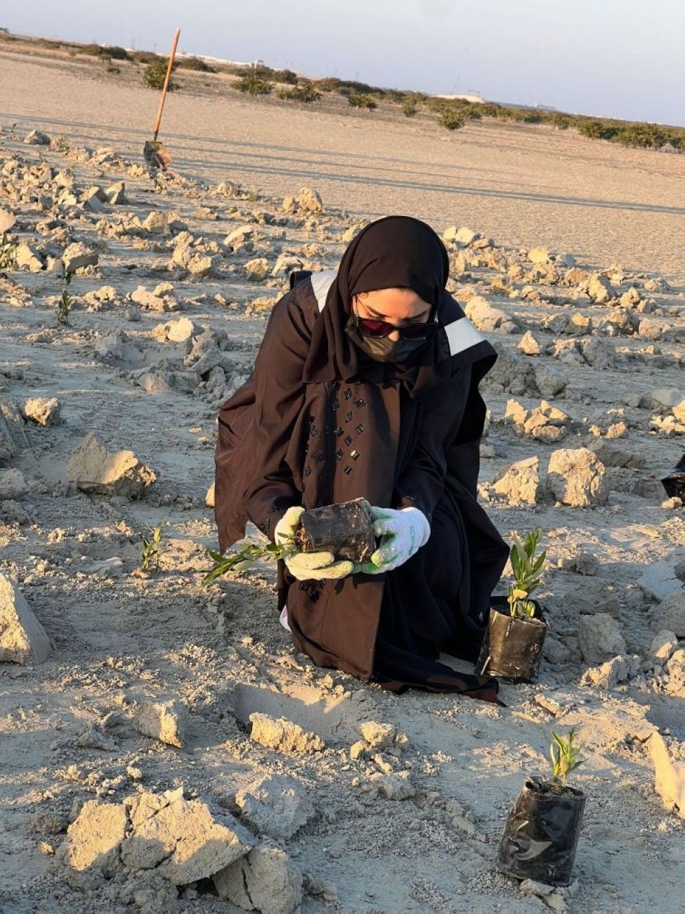 في يوم السعودية الخضراء.. شباب المملكة نواة الأمل لمستقبل أكثر استدامةً