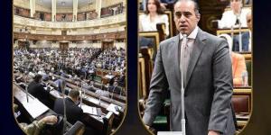 "جلسان بالنواب ولقاءات".. أبرز أنشطة وزارة الشئون النيابية والقانونية خلال أسبوع  - ايجي سبورت