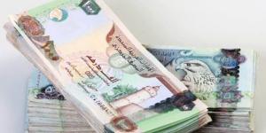 سعر الدرهم الإماراتي مقابل الجنيه المصري اليوم الأربعاء 16 يوليو 2025 - ايجي سبورت