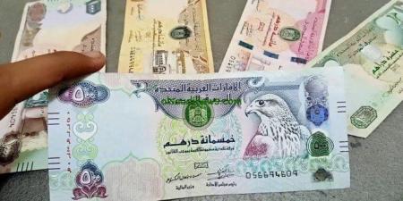 تعرف على سعر الدرهم الاماراتى بالسوق المصرفى المصرى اليوم - ايجي سبورت