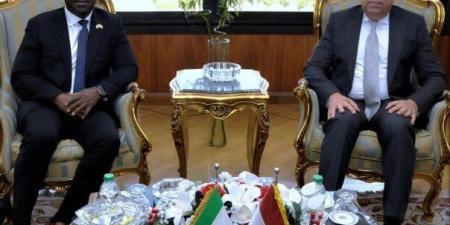 وزير الطيران المدني يبحث مع نظيره السيراليوني آفاق التعاون المشترك - ايجي سبورت