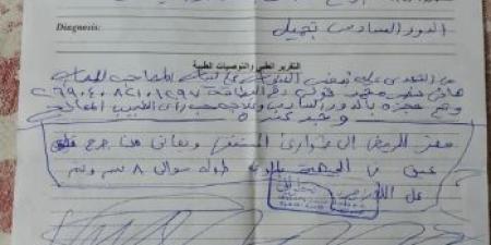 مطاردة بلطجي اعتدى على طالب حاول حماية أطفال من بطشه بالجيزة - ايجي سبورت
