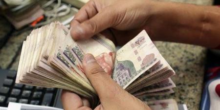 أعلى عوائد شهادات الادخار في بنكي الأهلي ومصر بعد تثبيت الفائدة - ايجي سبورت