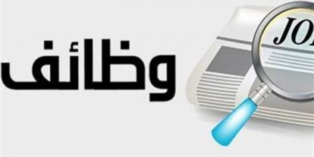 براتب 500 دولار.. شروط ورابط التقديم في وظائف وزارة العمل - ايجي سبورت