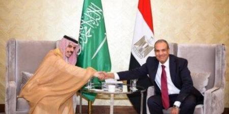 وزير الخارجية يبحث مع نظيره السعودي مستجدات الأوضاع في سوريا وليبيا وفلسطين - ايجي سبورت