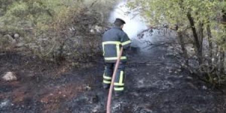 الزراعة: حريق الغابات في جرش "مفتعل" والنيران اشتعلت بـ3 مواقع في ذات الوقت - ايجي سبورت