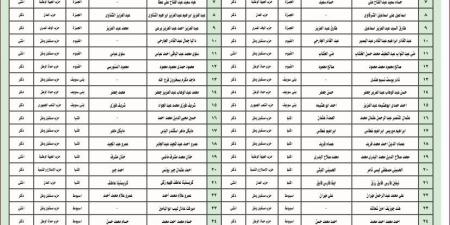 ننشر القائمة المرشحة بانتخابات الشيوخ على دائرة قطاع القاهرة وجنوب الدلتا - ايجي سبورت