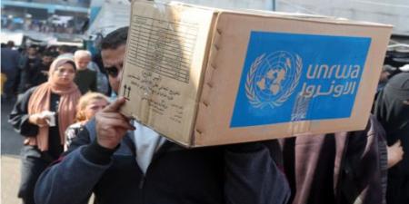 "أونروا": مساعدات غذائية تكفي غزة لـ3 أشهر بانتظار الدخول - ايجي سبورت
