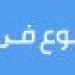 «إيسيسكو» تجدد دعمها للدكتور خالد عناني مرشحا لمنصب مدير عام اليونسكو - ايجي سبورت