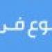 هل ذكر حزب «الوفد» في القرآن الكريم؟ جدل على السوشيال ميديا و«يمامة » يرد - ايجي سبورت
