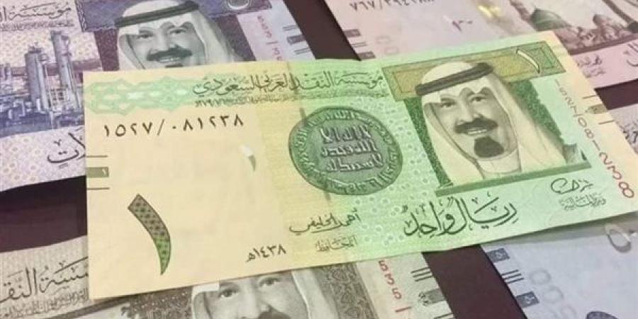 الريال السعودى يسجل 13.48 فى البنك المركزى المصرى مع بداية تعاملات اليوم - ايجي سبورت