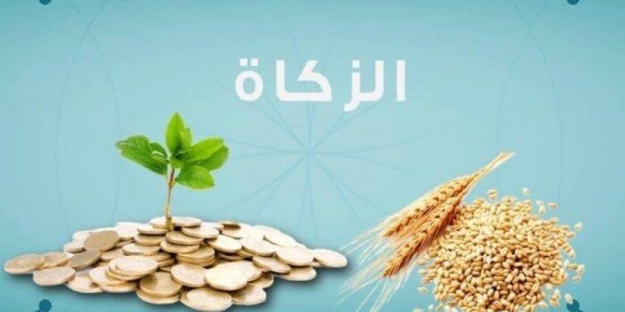 آخر موعد لإخراج زكاة عيد الفطر 2025 |الإفتاء توضح - ايجي سبورت