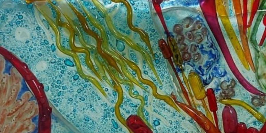 جداريات النفخ الزجاجى للدكتوره سها عاطف أمين بالأوبرا - ايجي سبورت