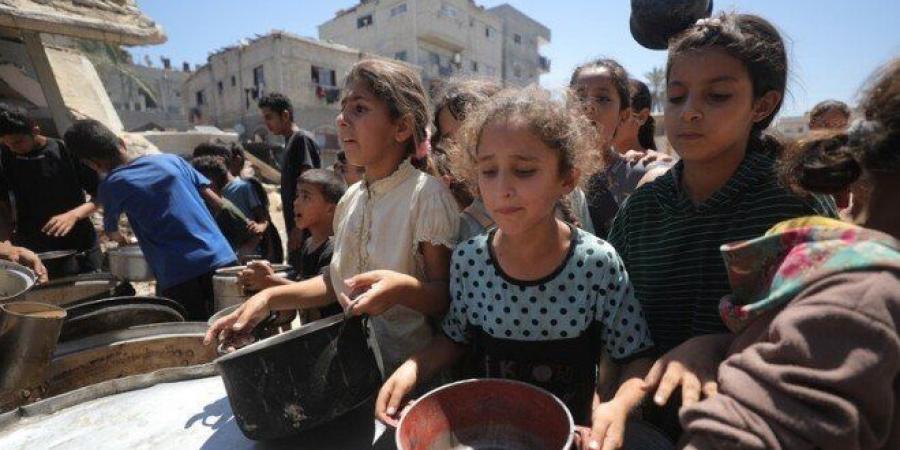تحذيرات من مجاعة تهدد مئات الآلاف في غزة مع دخول الحصار يومه الـ103 - ايجي سبورت