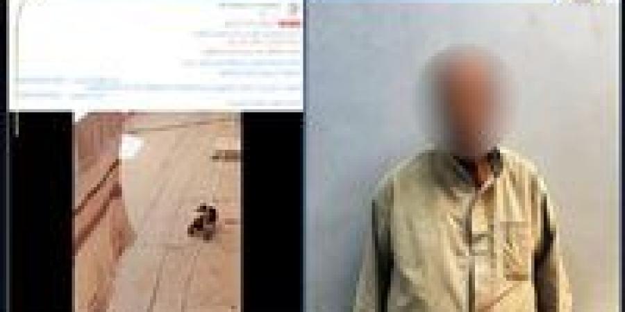 الداخلية تكشف ملابسات قيام شخص بإلقاء ماء ساخن على كلب ضال في أسيوط - ايجي سبورت