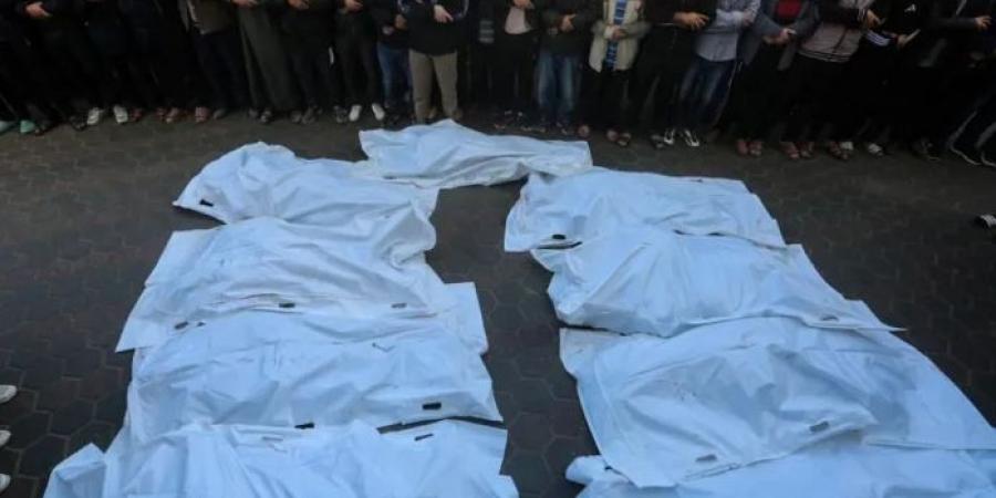 5 شهداء بقصف إسرائيلي على المواصي غربي خان يونس - ايجي سبورت
