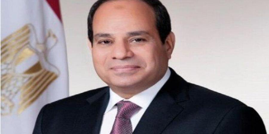 رئيسة الأعمال الإفريقي: الرئيس السيسي له دور مهم في تنمية البنية التحتية الإفريقية - ايجي سبورت
