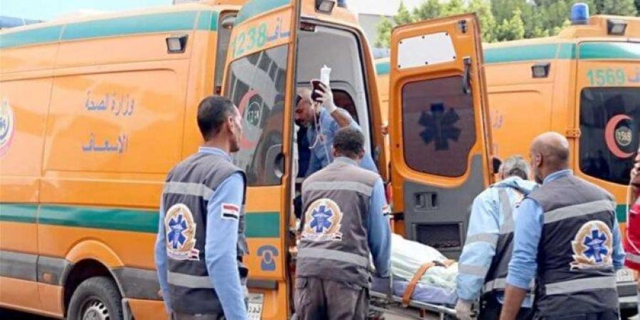 مصرع شخص دهسته سيارة مسرعة بمنطقة عين شمس - ايجي سبورت