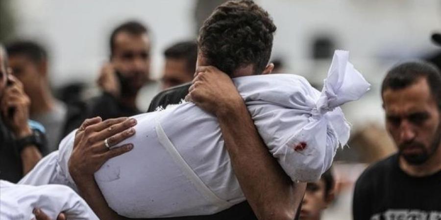 ارتفاع حصيلة العدوان الإسرائيلي على قطاع غزة إلى 58026 شهيدًا - ايجي سبورت