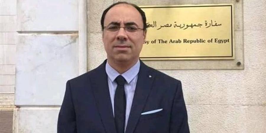 وزير خارجية أيرلندا يشيد بدور مصر الهام في حلحلة الوضع في غزة - ايجي سبورت