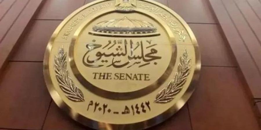428 مرشحًا.. «الوطنية لـ الانتخابات» تعلن القائمة النهائية لـ مرشحي مجلس الشيوخ 2025 - ايجي سبورت