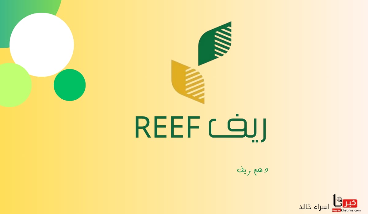 عاجل .. للتحقق من أهليتك.. رابط reef.gov.sa استعلام عن دعم ريف 1446