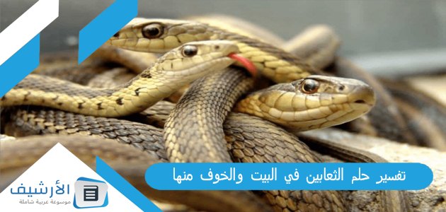 عاجل .. تفسير حلم الثعابين في البيت والخوف منها