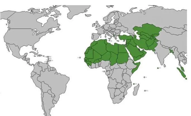 عاجل .. كم نسبة المسلمين في جنوب افريقيا وما هي الديانة الرسمية في جنوب افريقيا؟!