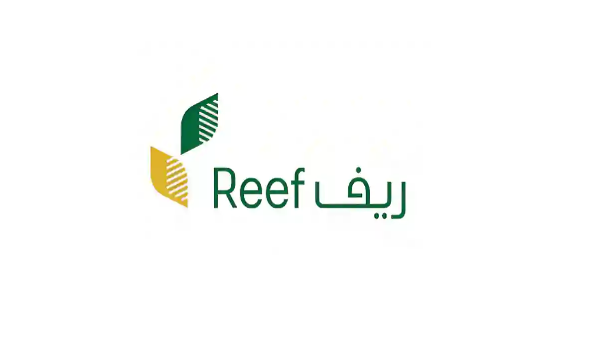 عاجل .. من هُنـــــــا | إليك طريقة إجراء استعلام عن دعم ريف – reef.gov.sa